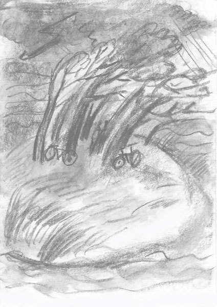 Иллюстрация к книге — Островитяне [i_013.jpg]