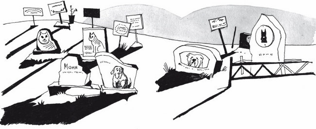 Иллюстрация к книге — Сто фактов обо мне [i_085.jpg]