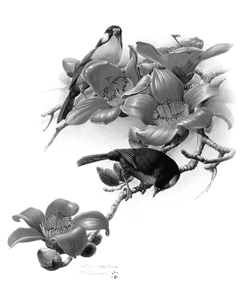 Иллюстрация к книге — В гареме Сына Неба. Жены и наложницы Поднебесной [i_071.jpg]