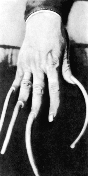 Иллюстрация к книге — В гареме Сына Неба. Жены и наложницы Поднебесной [i_113.jpg]