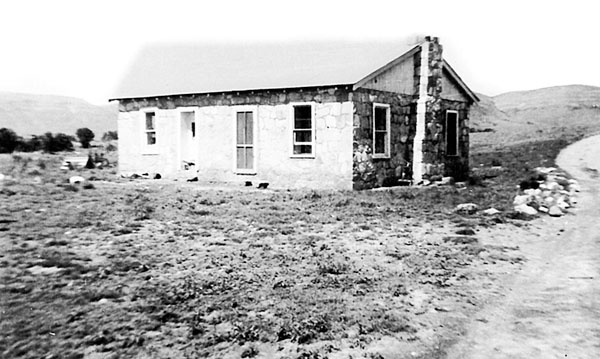 Иллюстрация к книге — Дикие лошади. У любой истории есть начало [i_001.jpg]