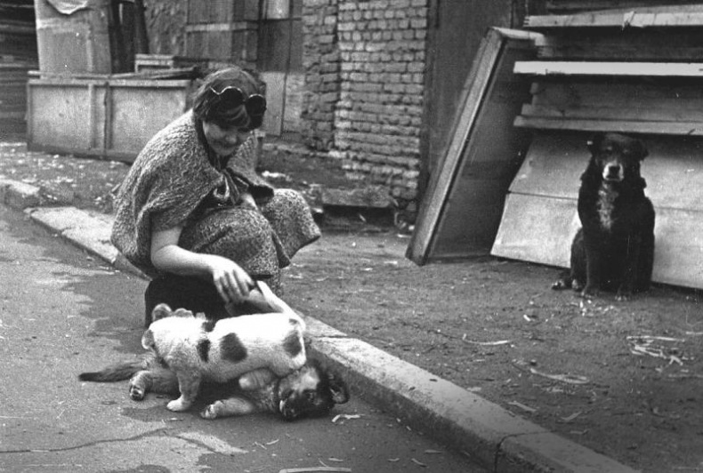 Иллюстрация к книге — Промельк Беллы. Романтическая хроника [vkl41_2.jpg]