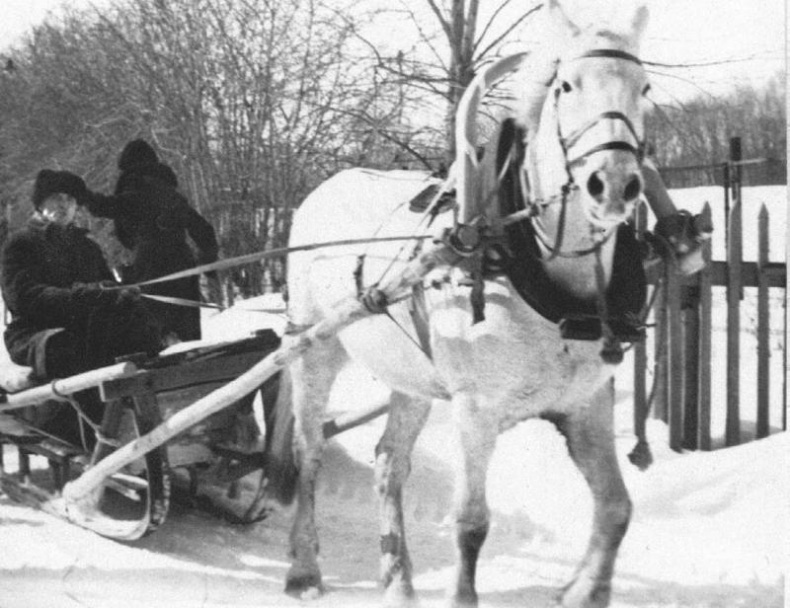 Иллюстрация к книге — Промельк Беллы. Романтическая хроника [vkl93.jpg]