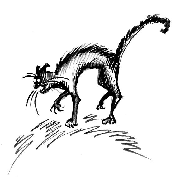 Иллюстрация к книге — Влада. Перекресток смерти [i_026.jpg]