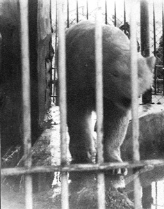 Иллюстрация к книге — Как было на самом деле. Каждая история желает быть рассказанной [i_034.jpg]