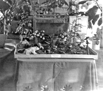 Иллюстрация к книге — Как было на самом деле. Каждая история желает быть рассказанной [i_049.jpg]