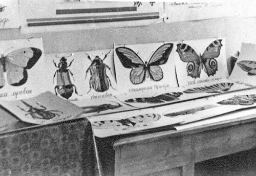 Иллюстрация к книге — Как было на самом деле. Каждая история желает быть рассказанной [i_054.jpg]