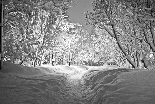 Иллюстрация к книге — Как было на самом деле. Каждая история желает быть рассказанной [i_099.jpg]