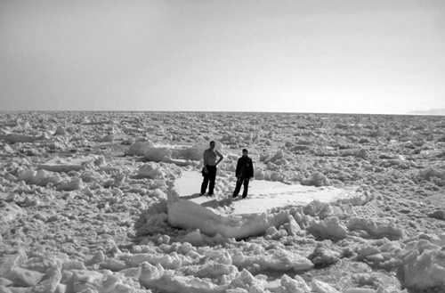 Иллюстрация к книге — Как было на самом деле. Каждая история желает быть рассказанной [i_103.jpg]