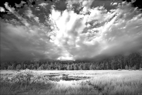 Иллюстрация к книге — Как было на самом деле. Каждая история желает быть рассказанной [i_108.jpg]