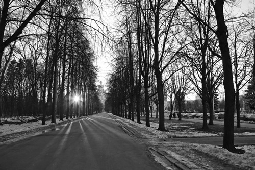 Иллюстрация к книге — Как было на самом деле. Каждая история желает быть рассказанной [i_247.jpg]