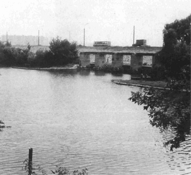 Иллюстрация к книге — Хроника рядового разведчика. Фронтовая разведка в годы Великой Отечественной войны. 1943-1945 гг [i_020.jpg]