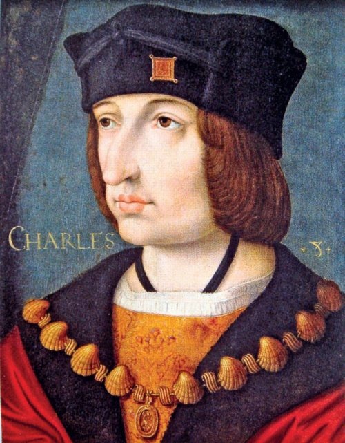 Иллюстрация к книге — Микеланджело Буонарроти [i_017.jpg]