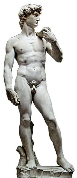 Иллюстрация к книге — Микеланджело Буонарроти [i_024.jpg]