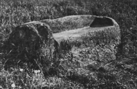 Иллюстрация к книге — Арина Родионовна [i_003.jpg]