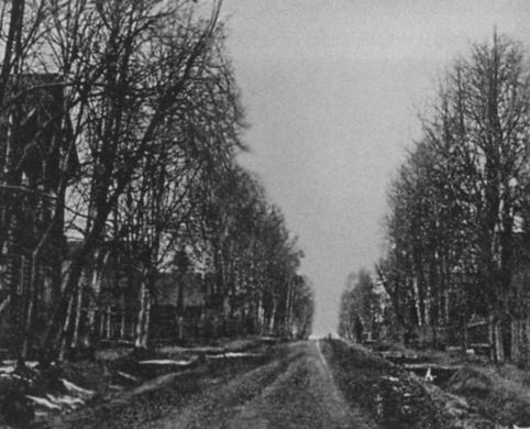 Иллюстрация к книге — Арина Родионовна [i_007.jpg]