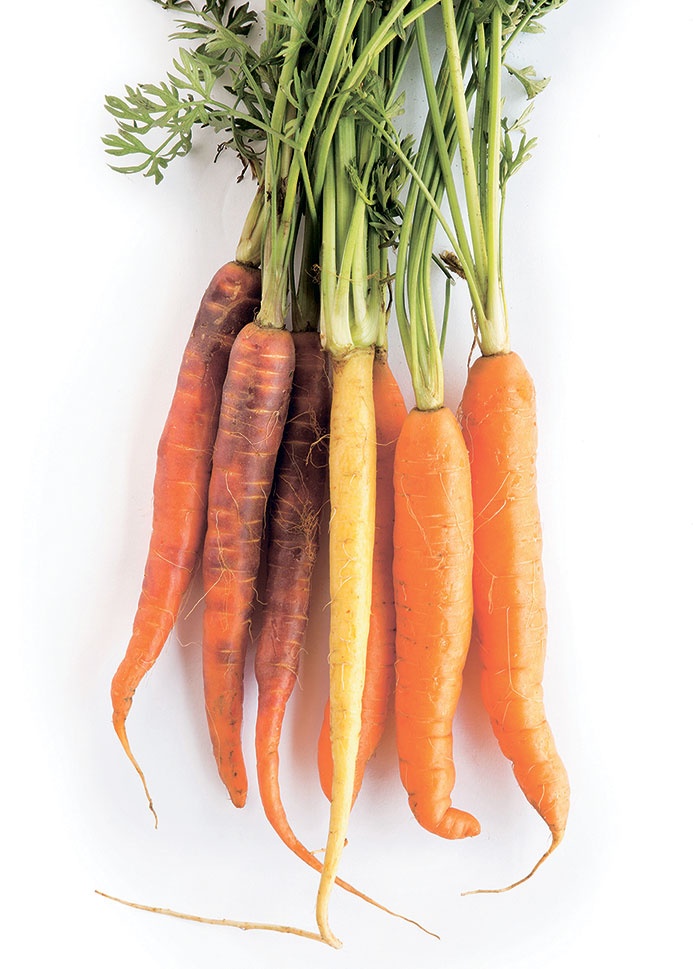 Иллюстрация к книге — Lifestyle. Секреты Бобби Браун [i_008.jpg]