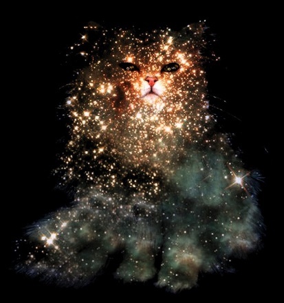 Иллюстрация к книге — Дар Павшего. Восход Черного солнца [_6.jpg]