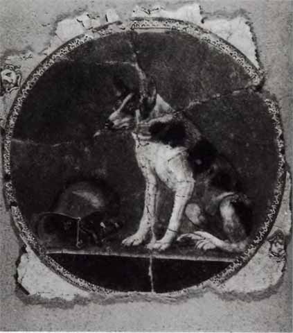 Иллюстрация к книге — Клеопатра, или Неподражаемая [i_049.jpg]