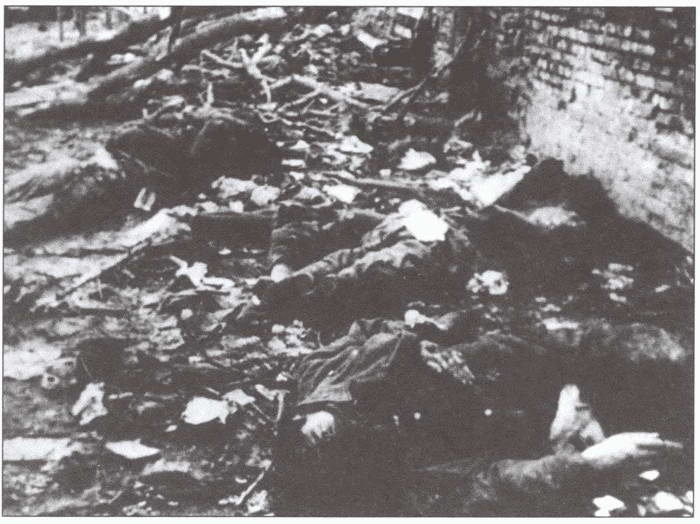 Иллюстрация к книге — Проигранные сражения [i_040.jpg]