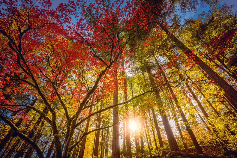 Иллюстрация к книге — Lykke. В поисках секретов самых счастливых людей [i_081.jpg]