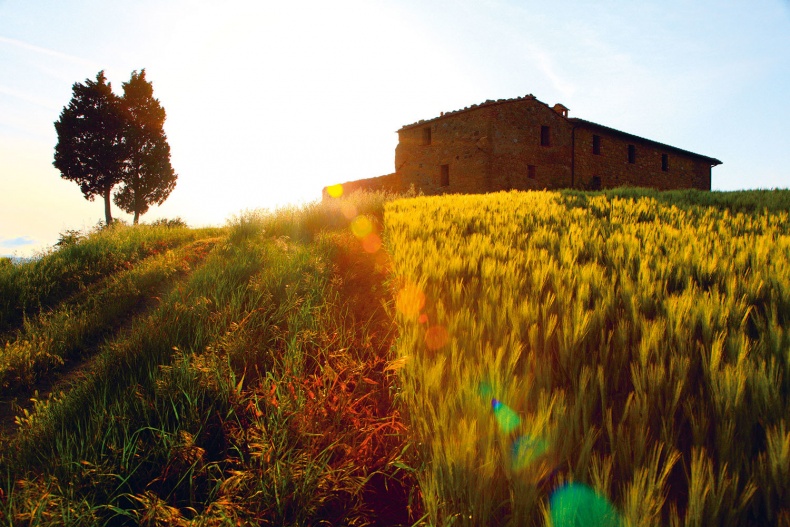 Иллюстрация к книге — Lykke. В поисках секретов самых счастливых людей [i_101.jpg]