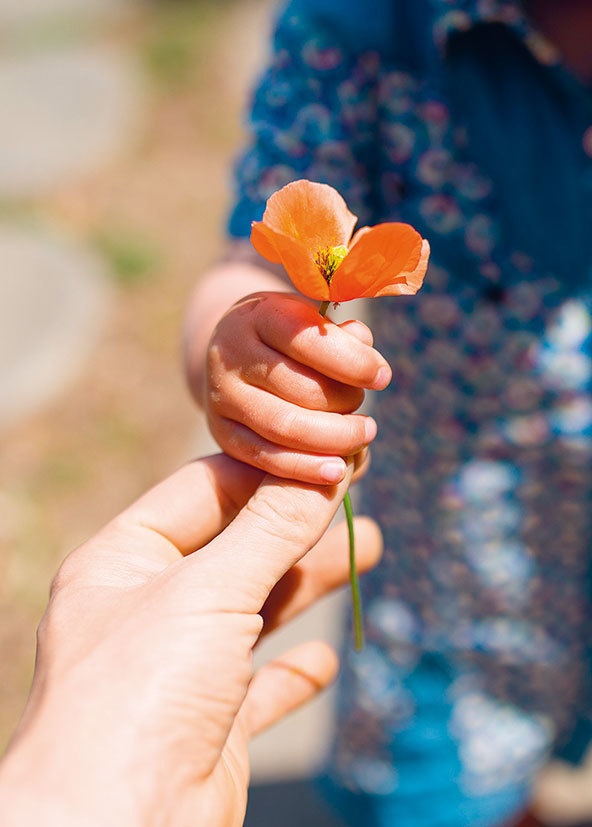 Иллюстрация к книге — Lykke. В поисках секретов самых счастливых людей [i_146.jpg]