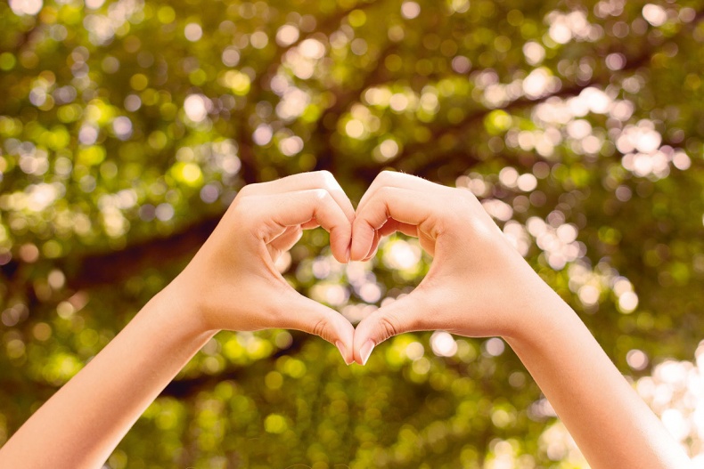 Иллюстрация к книге — Lykke. В поисках секретов самых счастливых людей [i_163.jpg]