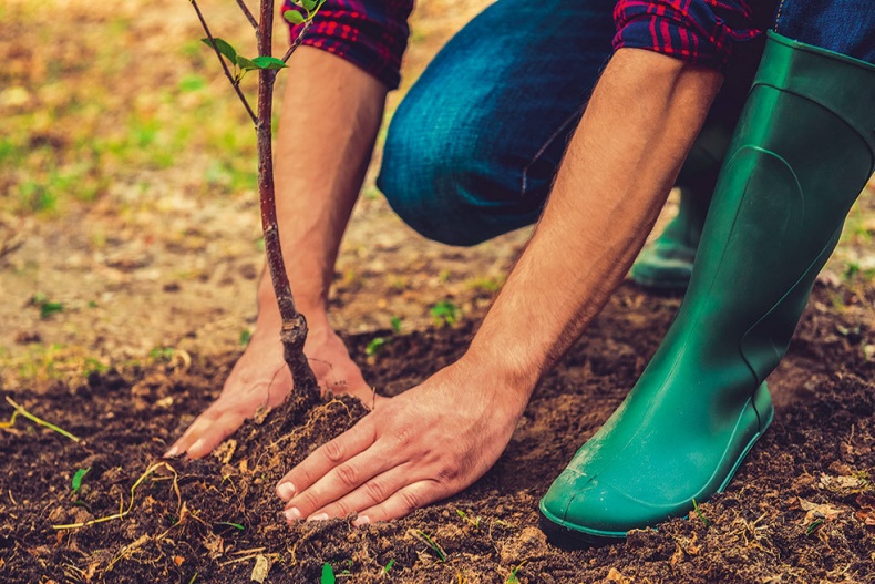 Иллюстрация к книге — Lykke. В поисках секретов самых счастливых людей [i_166.jpg]