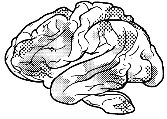 Иллюстрация к книге — Свободу мозгу! Что сковывает наш мозг и как вырвать его из тисков, в которых он оказался [i_002.jpg]