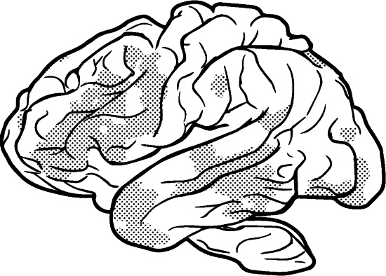 Иллюстрация к книге — Свободу мозгу! Что сковывает наш мозг и как вырвать его из тисков, в которых он оказался [i_008.jpg]