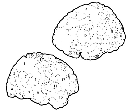 Иллюстрация к книге — Свободу мозгу! Что сковывает наш мозг и как вырвать его из тисков, в которых он оказался [i_010.jpg]