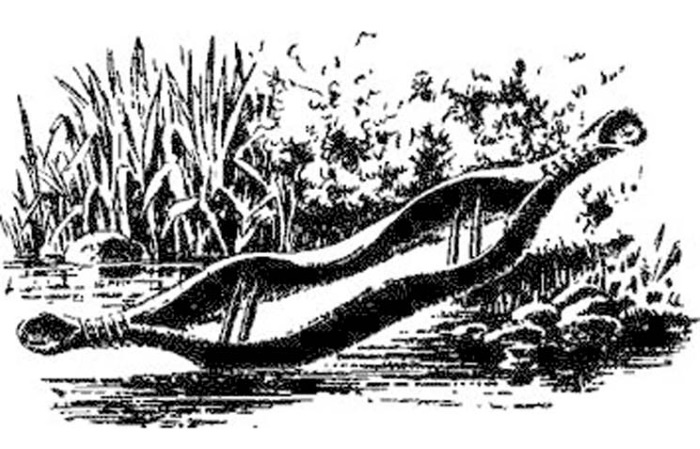 Иллюстрация к книге — Империя Четырех Сторон [i_038.jpg]