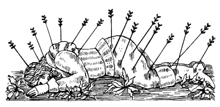 Иллюстрация к книге — Подвиг Магеллана [i_016.jpg]