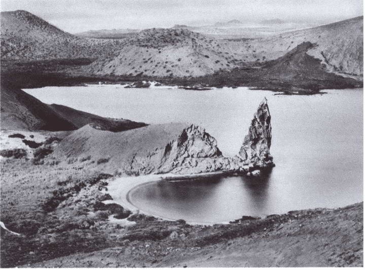 Иллюстрация к книге — Дарвин [i_018.jpg]