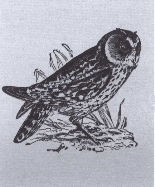 Иллюстрация к книге — Дарвин [i_022.jpg]