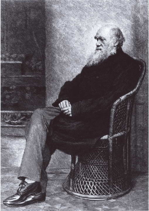 Иллюстрация к книге — Дарвин [i_053.jpg]