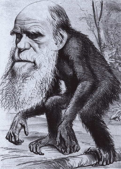 Иллюстрация к книге — Дарвин [i_055.jpg]