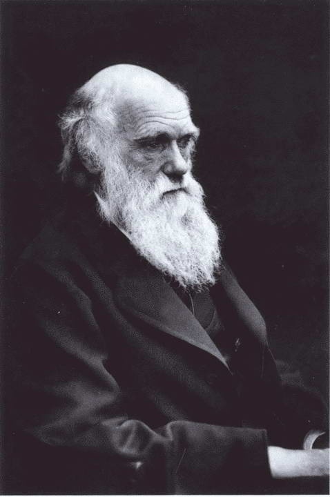 Иллюстрация к книге — Дарвин [i_056.jpg]