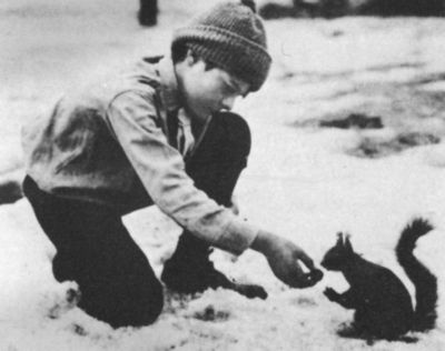 Иллюстрация к книге — Хемингуэй [i_008.jpg]