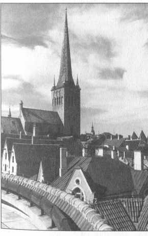 Иллюстрация к книге — Авантюры открытого моря [image27.jpg]