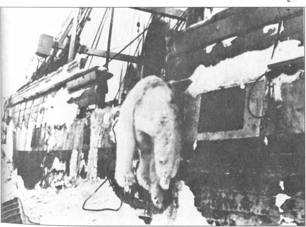 Иллюстрация к книге — Авантюры открытого моря [image45.jpg]