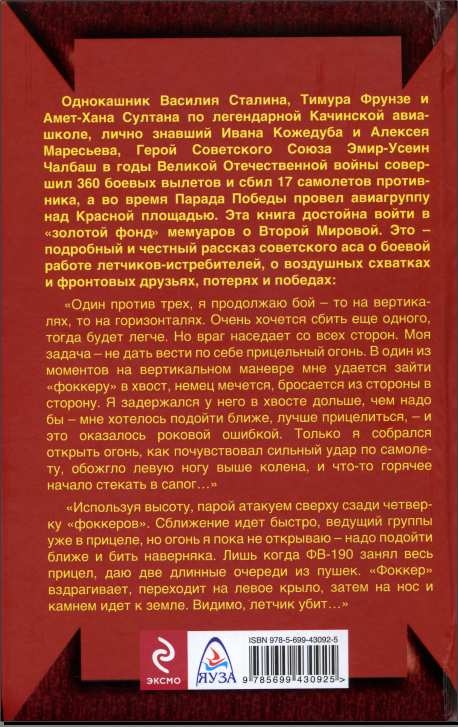 Иллюстрация к книге — Сковать боем! Советские асы против Люфтваффе [end.jpg]