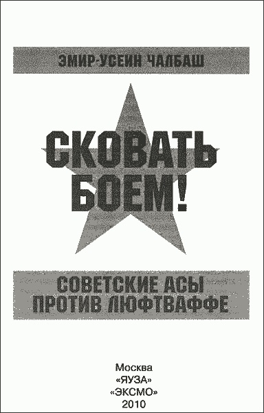 Иллюстрация к книге — Сковать боем! Советские асы против Люфтваффе [img_0.jpg]
