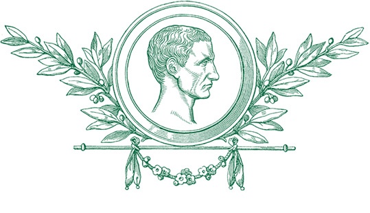 Иллюстрация к книге — Разделяй и властвуй. Записки триумфатора [i_014.jpg]