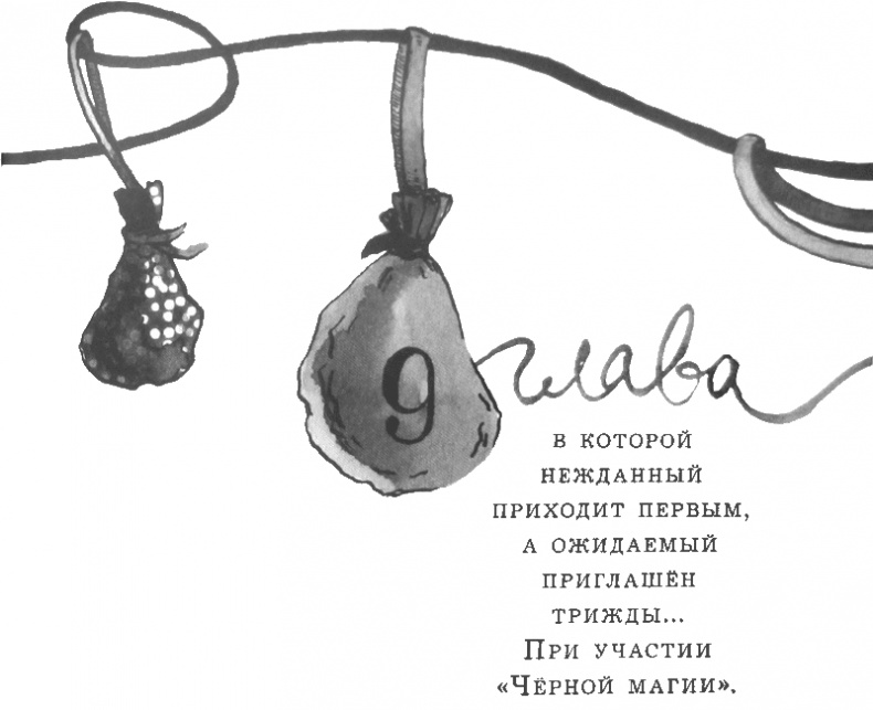 Иллюстрация к книге — Случайному гостю [i_022.jpg]