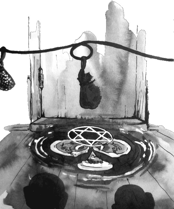 Иллюстрация к книге — Случайному гостю [i_023.jpg]