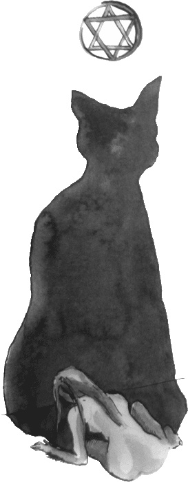 Иллюстрация к книге — Случайному гостю [i_038.jpg]