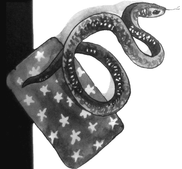 Иллюстрация к книге — Случайному гостю [i_040.jpg]