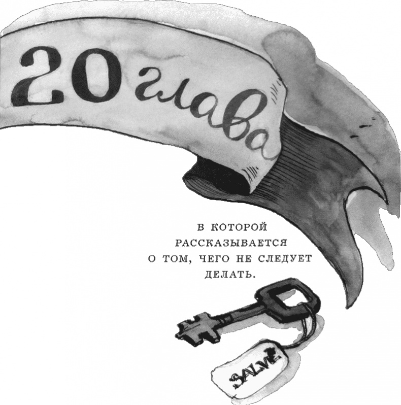 Иллюстрация к книге — Случайному гостю [i_045.jpg]